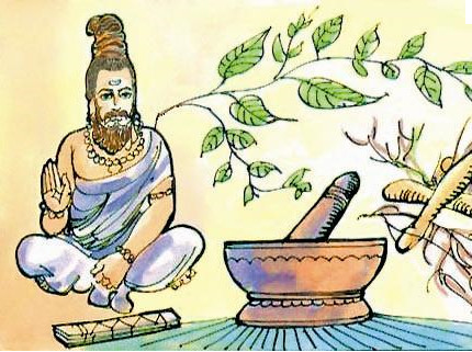 Ancient Indians and Natives that Used Herbs