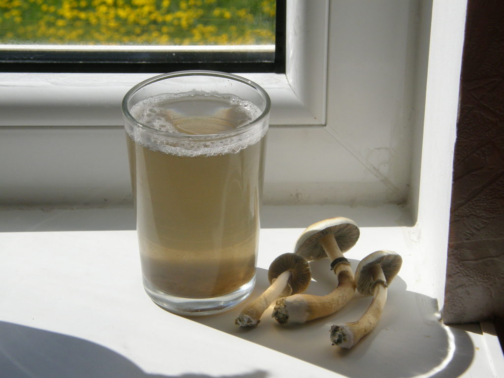  magic mushroom tea the traditional way